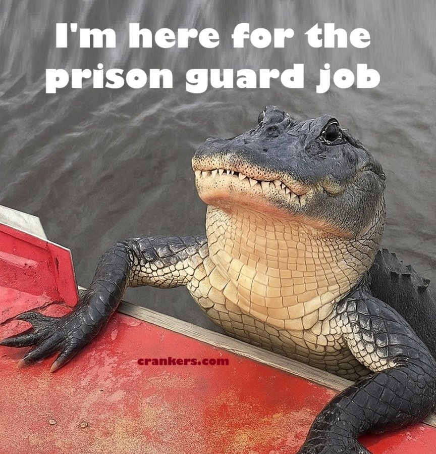 guard.jpg