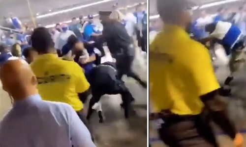 dodgers fans fight cops