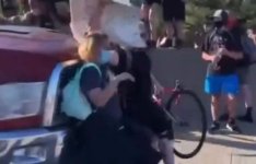 blm protesters ran over.jpg