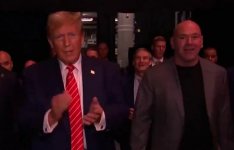 ufc crowd chants f-ck joe biden.jpg