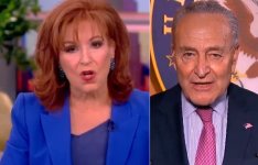 chuck schumer liar the view.jpg