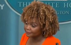 used toilet brush for sale.jpg