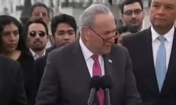 crooked chuck schumer.jpg