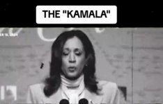 the kamala funny video.jpg
