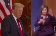 trump pelosi arrested.jpg