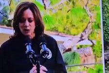 kamala harris fema 750.jpg