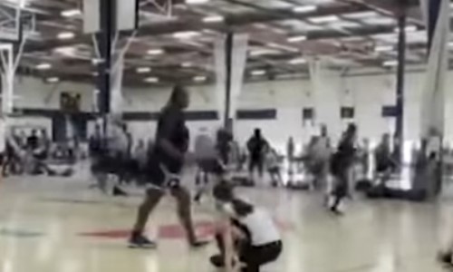Former NBA player apologizes after teen daughter sucker-punched someone, getting herself ejected and banned